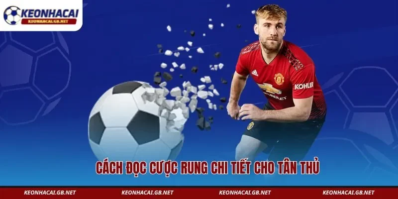 Cách đọc cược rung chi tiết cho tân thủ