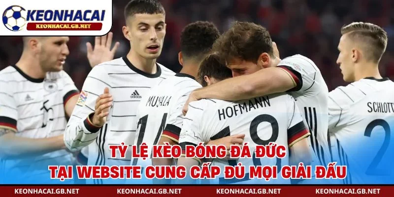 Tỷ lệ kèo bóng đá Đức tại website cung cấp đủ mọi giải đấu